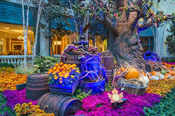 Fall season display at Bellagio Hotel Conservatory & Botanical Gardens in Las Vegas, Nevada.