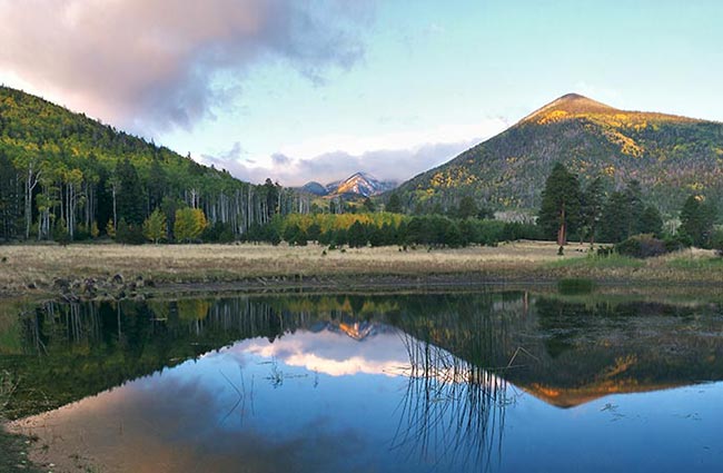 Locket Meadow Lake Reflection Flagstaff