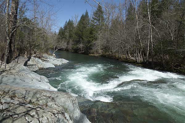 Whitewater rapids along the Pigeon Forge River, Great Smoky Mountains, Tennessee.